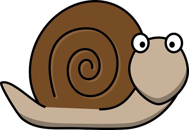 the.veryfastsnail.com